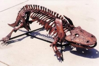 Eryops megacephalus, skeleton