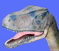 Allosaurus life-size juvenile model 10.5 feet long