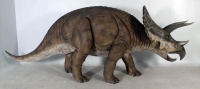 Triceratops Statue Model 14 Foot Life-Size, Life-Like RENTAL