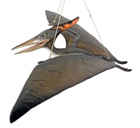 Pterosaur, Pteranodon 5 Foot Wingspan Hanging Model