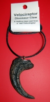 Velociraptor slashing & killing claw, pendant necklace