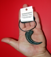 Velociraptor slashing & killing claw, pendant necklace