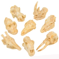 ANIMAL SKULLS PENCIL TOPS