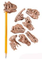 DINOSAUR FOSSIL SKULLS PENCIL TOPS