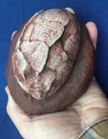 Segnosaurus, dinosaur egg