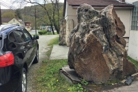 Giant Fossil Petrified Wood Tree Trunk