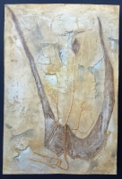 Rhamphorynchus muensteri, Pterosaur, Jurassic