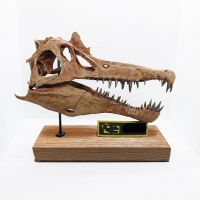 Spinosaurus aegyptiacus, Skull 1/7 Scale 3D Printed, Replica