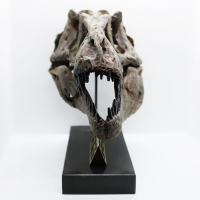 Tyrannosaurus rex, Skull 1/8 Scale 3D Printed, Replica