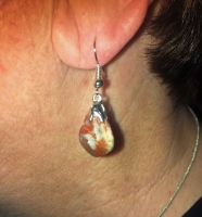 Authentic Dinosaur Coprolite Earrings