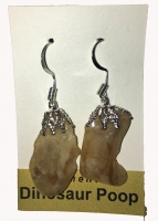 Authentic Dinosaur Coprolite Earrings