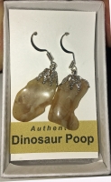 Authentic Dinosaur Coprolite Earrings