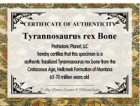 Authentic Tyrannosaurus rex Bone in Acrylic Display Case