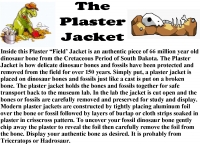 The Plaster Jacket Authentic Dinosaur Bone Dig