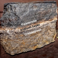 Dinosaur Extinction Event Layer K-PG (K-T) Boundary Soil Sample Case