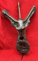 Triceratops, dorsal vertebra with stand