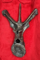 Triceratops, dorsal vertebra with stand