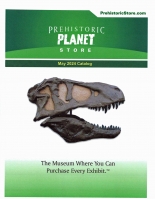 Prehistoric Planet Store Catalog of Dinosaurs, Fossils, Trex Products, Digital Download