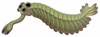 Opabinia regalis, from the Burgess Shale, replica