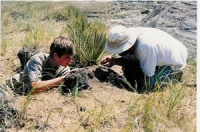 2018 Dinosaur Safari Dig & Keep Real Dinosaur Bones