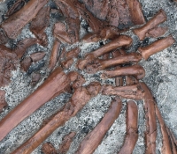 Neanderthal Skeleton, Kebara Cave Burial