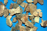 Chunkosaurus Cretaceous Dinosaur Bone Fragments, Authentic 1/4 pound, 4 oz.