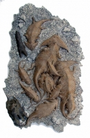 Diplocaulus magnicornis