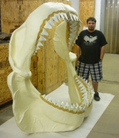 Otodus Megalodon Shark Jaws With Teeth